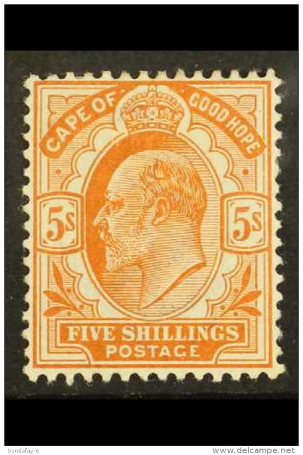 CAPE OF GOOD HOPE 1902-04 5s Brown-orange, SG 78, Fine Mint. For More Images, Please Visit... - Zonder Classificatie