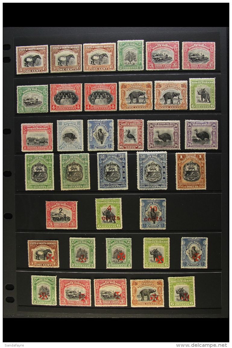 1909-1941 FINE MINT COLLECTION. An ALL DIFFERENT Collection With Many Shade &amp; Perforation Variants, Neatly... - Noord Borneo (...-1963)