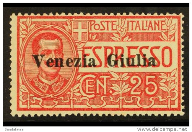 VENEZIA GIULIA 1919 25c Red Express, Sass 1, Very Fine Never Hinged Mint. Signed Sorani. Cat &euro;450... - Unclassified