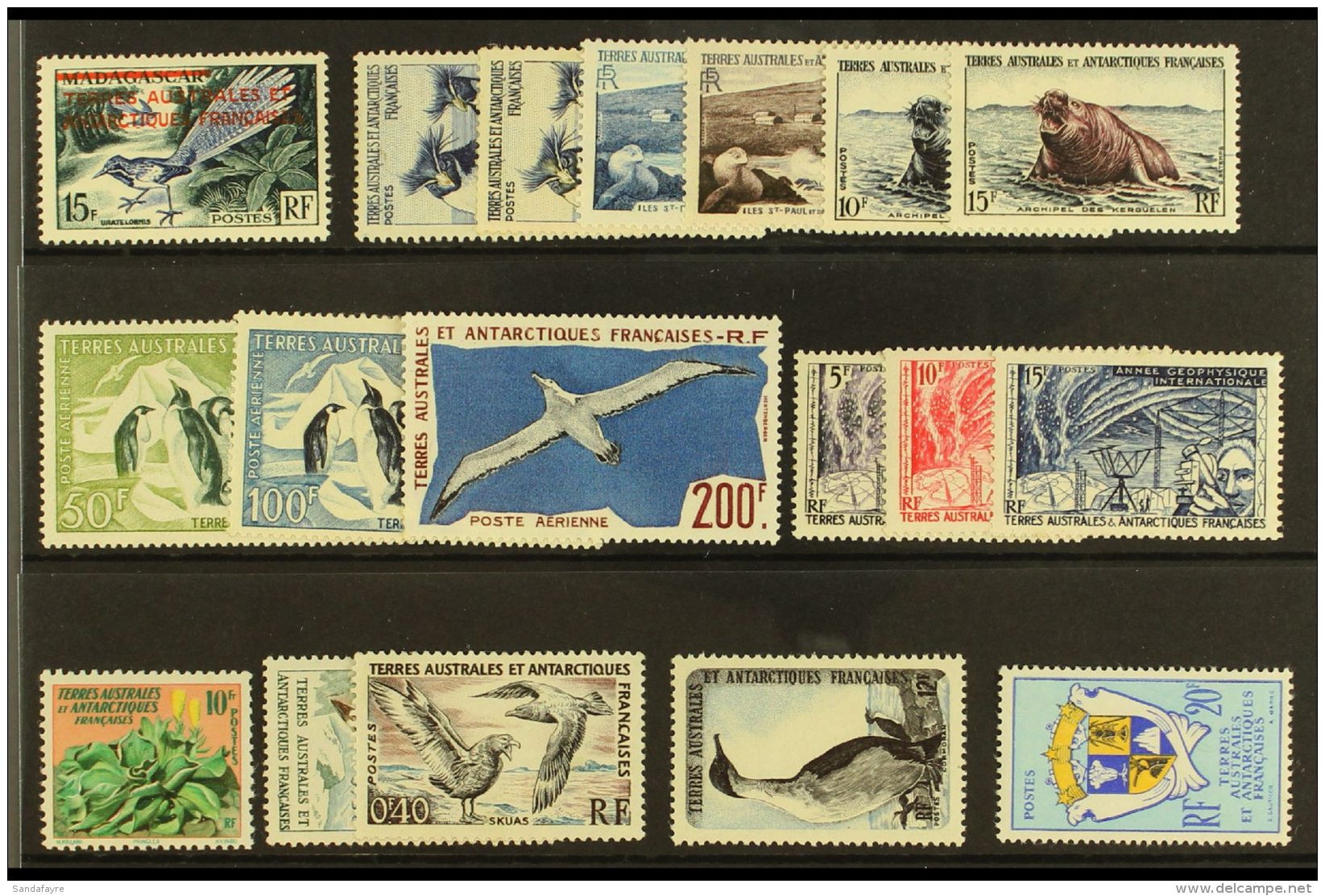 TAAF 1955-1959 VFM/NHM Group On A Stock Card, All Different, Inc 1955 15f Opt NHM, 1956 Set Mostly NHM, 1956-59... - Autres & Non Classés