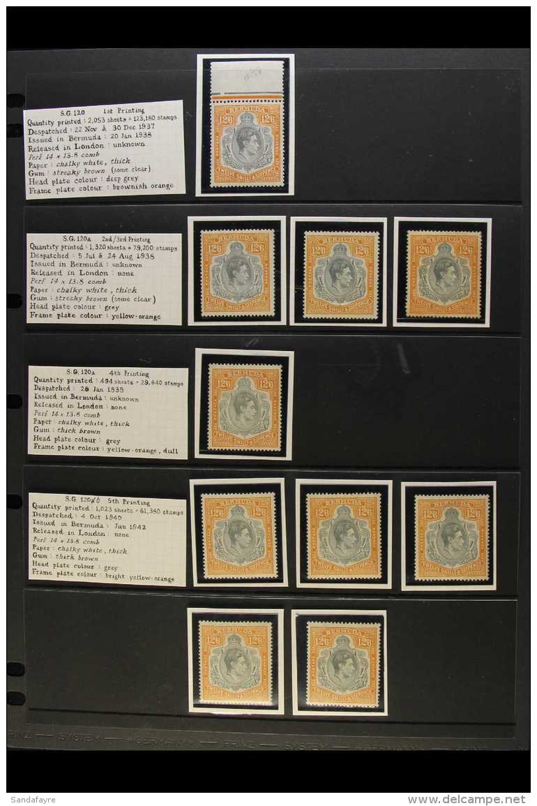 1938-53 12s6d KGVI KEY PLATES. ATTRACTIVE MINT SPECIALIZED COLLECTION On Stock Pages With Identified Various... - Bermuda