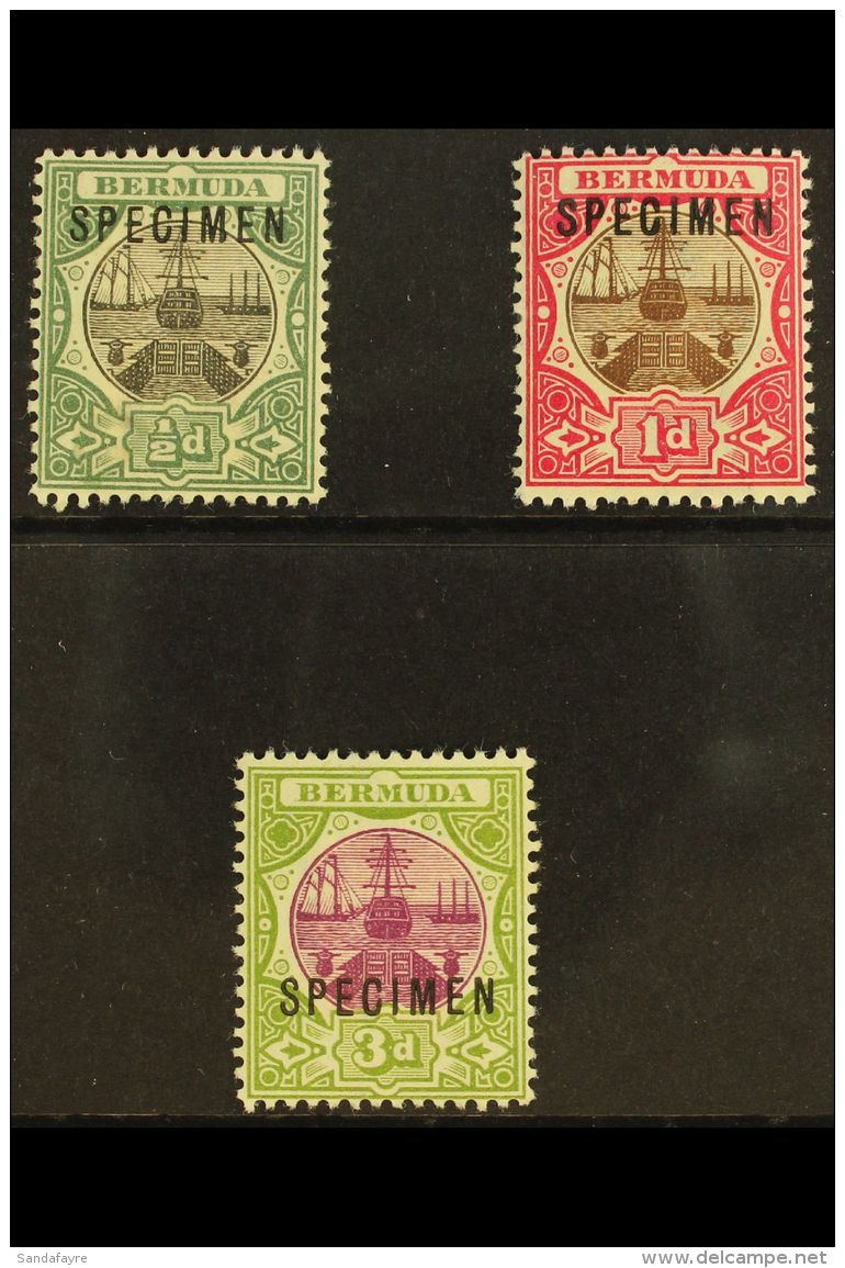 1902 Dry Dock Set Ovprinted "Specimen", SG 31s/3s, Very Fine Mint. (3 Stamps) For More Images, Please Visit... - Bermuda