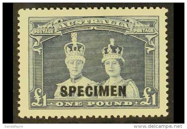 1937-49 &pound;1 Bluish Slate "Robes" Value With "SPECIMEN" Overprint, SG 178s, Very Fine Mint, Cat &pound;800.... - Other & Unclassified