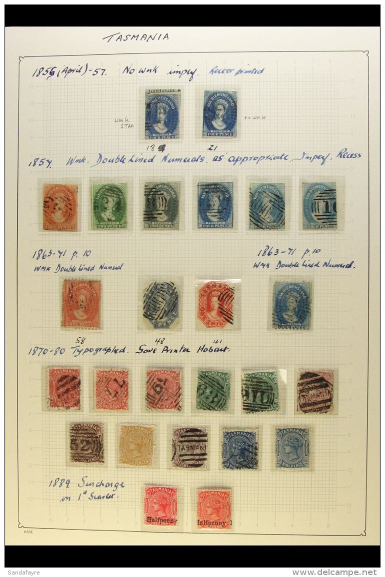 TASMANIA 1855-1912 Mint And Used Collection/accumulation On Pages. With Good Used Range Of Early Imperfs (no Pen... - Autres & Non Classés