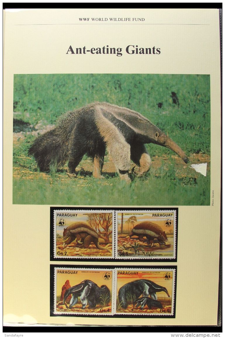 WORLD WILDLIFE FUND An Attractive &amp; Interesting 1980s Worldwide Collection In An Album With Slipcase, Each... - Zonder Classificatie