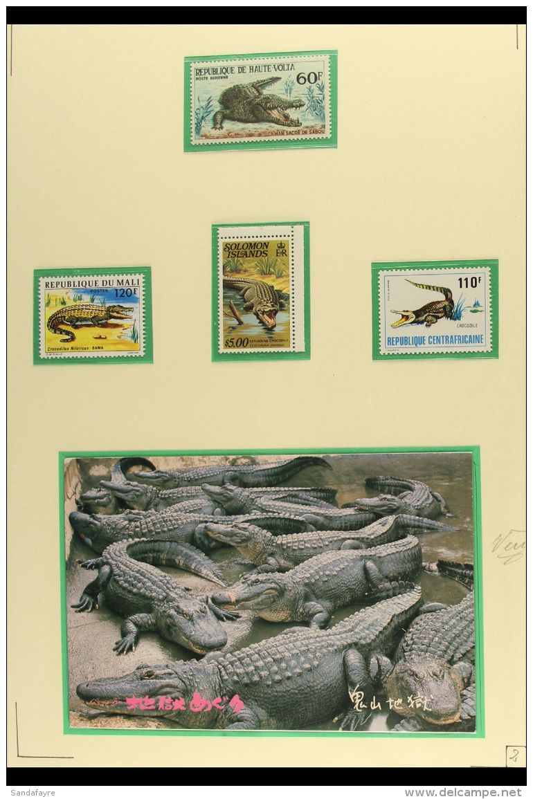 REPTILES An All Different Never Hinged Mint Collection In An Album. Crocodiles, Lizards, Skink, Chameleon, Gecko... - Unclassified