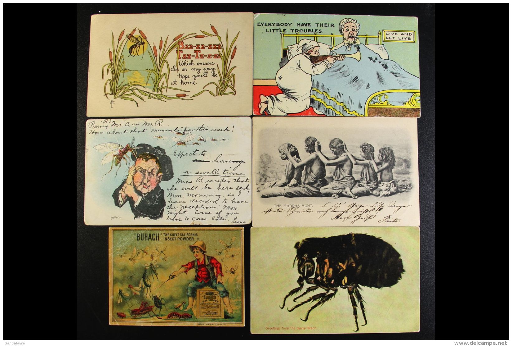 INSECTS An All Periods Worldwide Thematic Collection Of Postcards And Postal Stationery Ranging From Early 1900's... - Unclassified