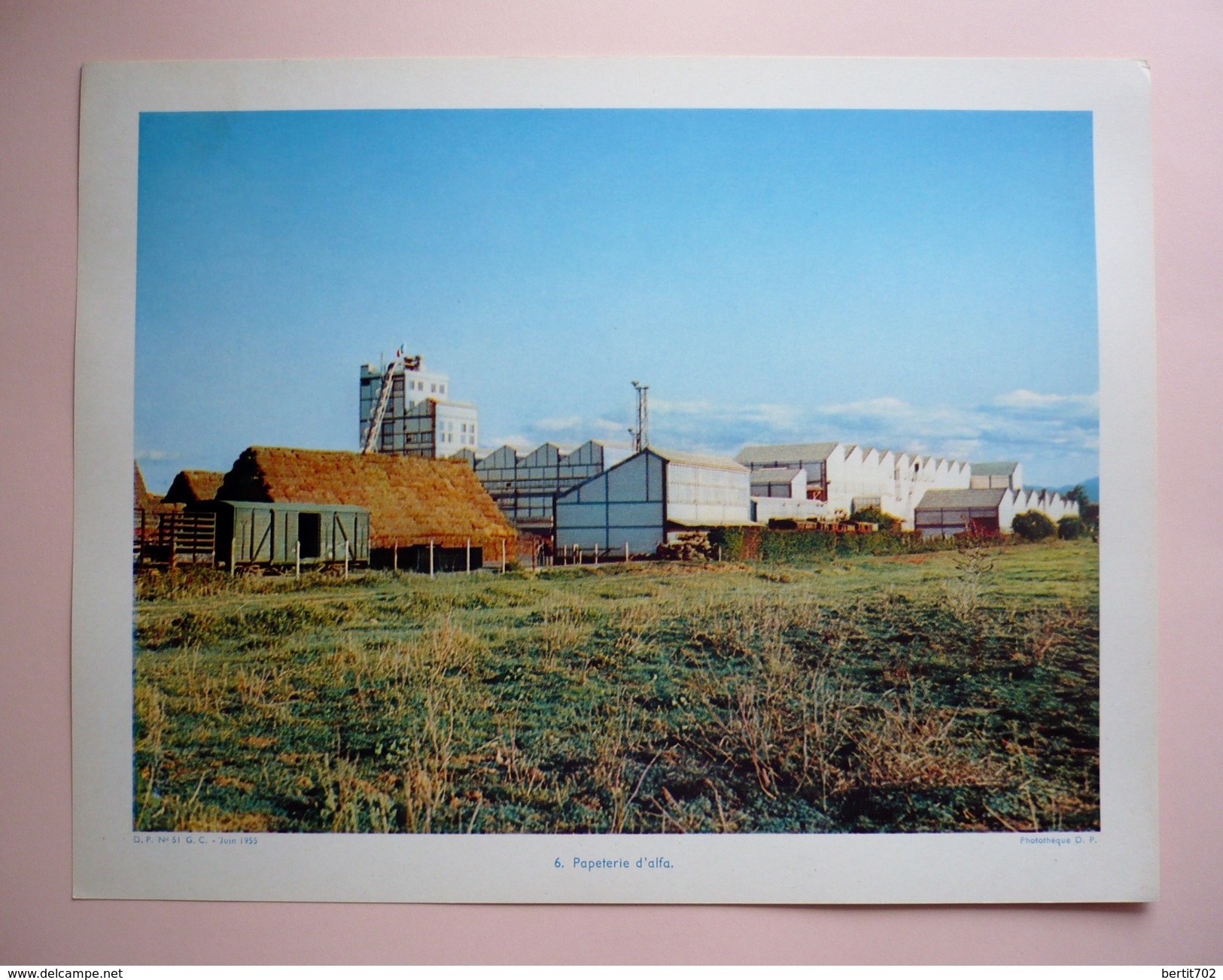 DOCUMENTATION PEDAGOGIQUE JUIN 1955  - L'ALGERIE mise en valeur - 8 PLANCHES COULEUR 27 X 21 - ORAN - BOU-SAADA