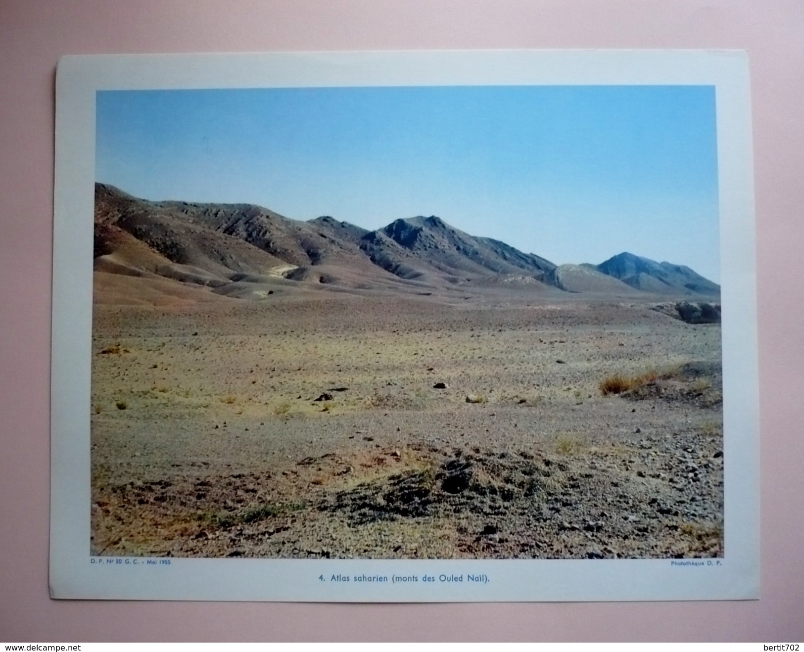 DOCUMENTATION PEDAGOGIQUE MAI 1955  - L'ALGERIE Paysages Et Vie Indigène - 8 PLANCHES COULEUR 27 X 21 - Geographie