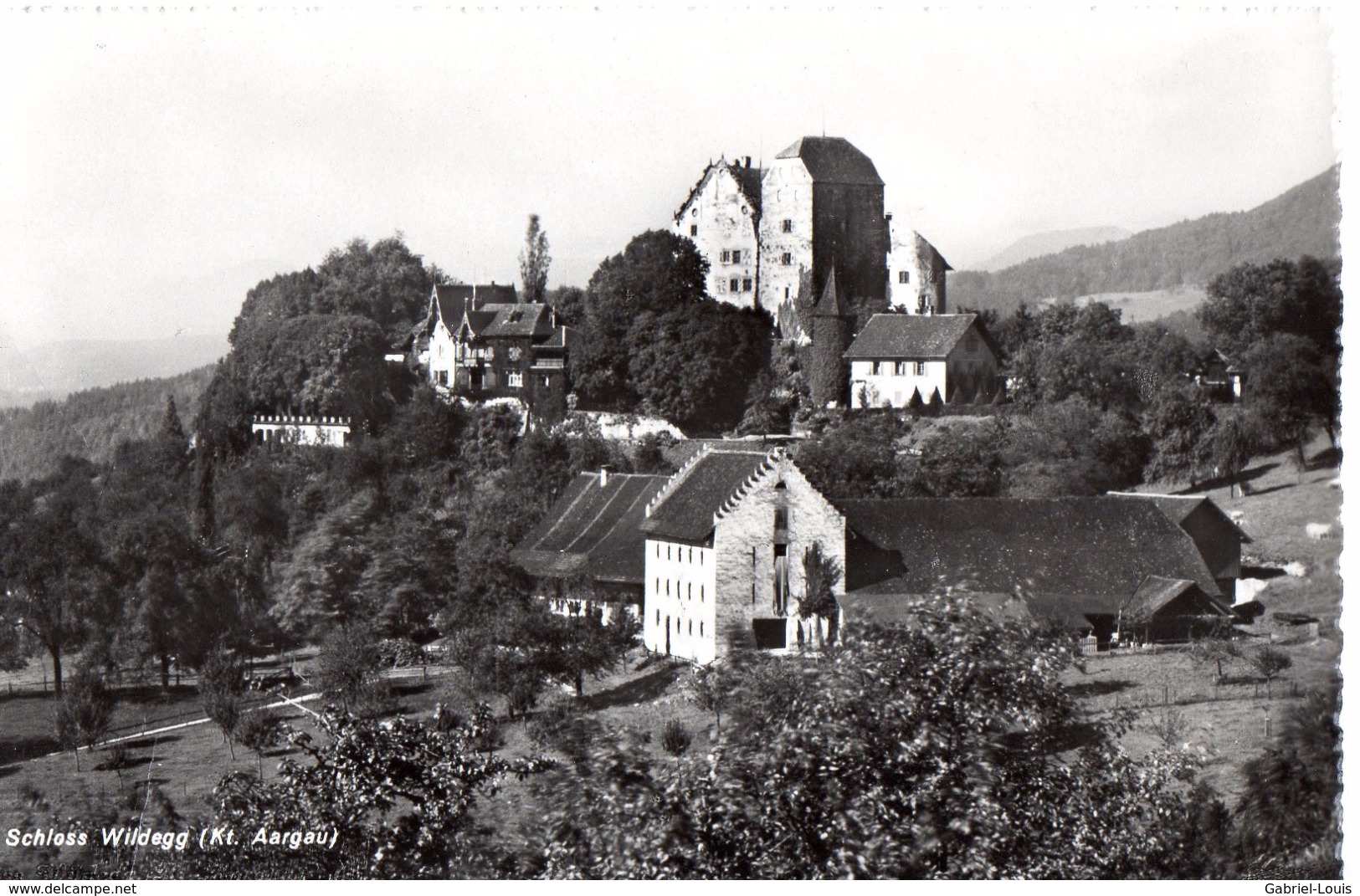 Schloss Wildegg - Wildegg