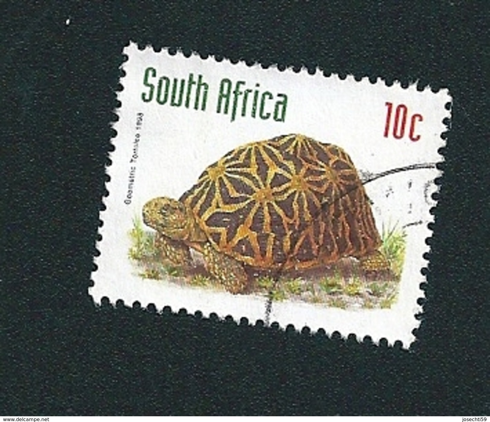 N° 991 Tortue TIMBRE Afrique Du Sud (1998) Oblitéré - Used Stamps