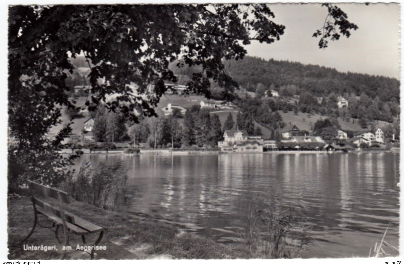 Unterägeri - AM AEGERISEE - ZOUG - Formato Piccolo - Zugo