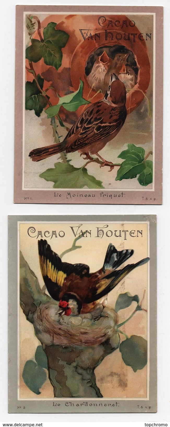 Chromo Chocolat Van Houten Oiseaux Le Chardonneret Le Moineau Friquet (2 Chromos) - Van Houten