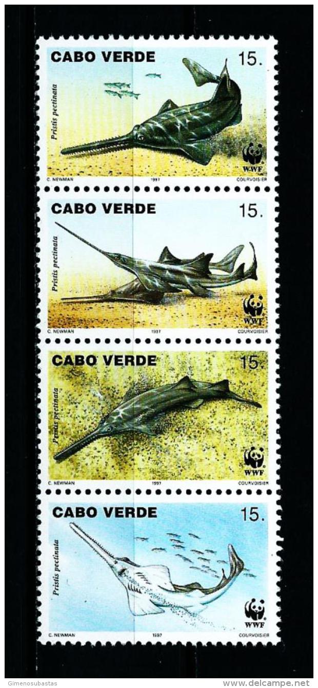 Cabo Verde  N&ordm; Yvert  700/3 (WWF)  En Nuevo - Islas De Cabo Verde