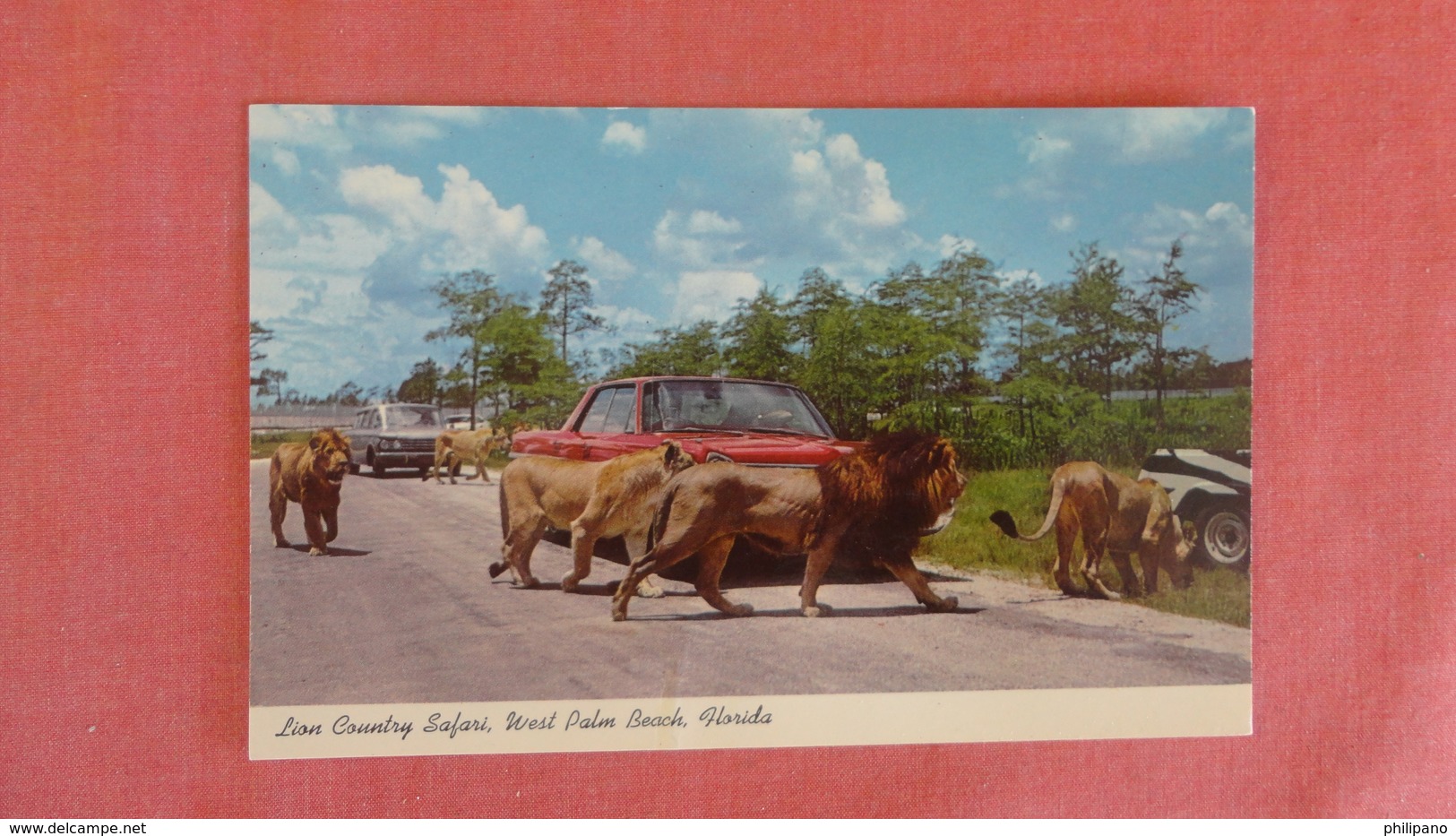 Lion Country Safari  Classic Autos  Florida > West Palm Beach     Ref 2519 - West Palm Beach