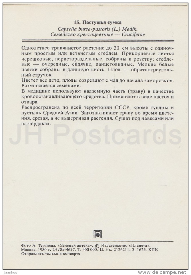 Shepherd's Purse - Capsella Bursa-pastoris - Medicinal Plants - Herbs - 1980 - Russia USSR - Unused - Plantes Médicinales