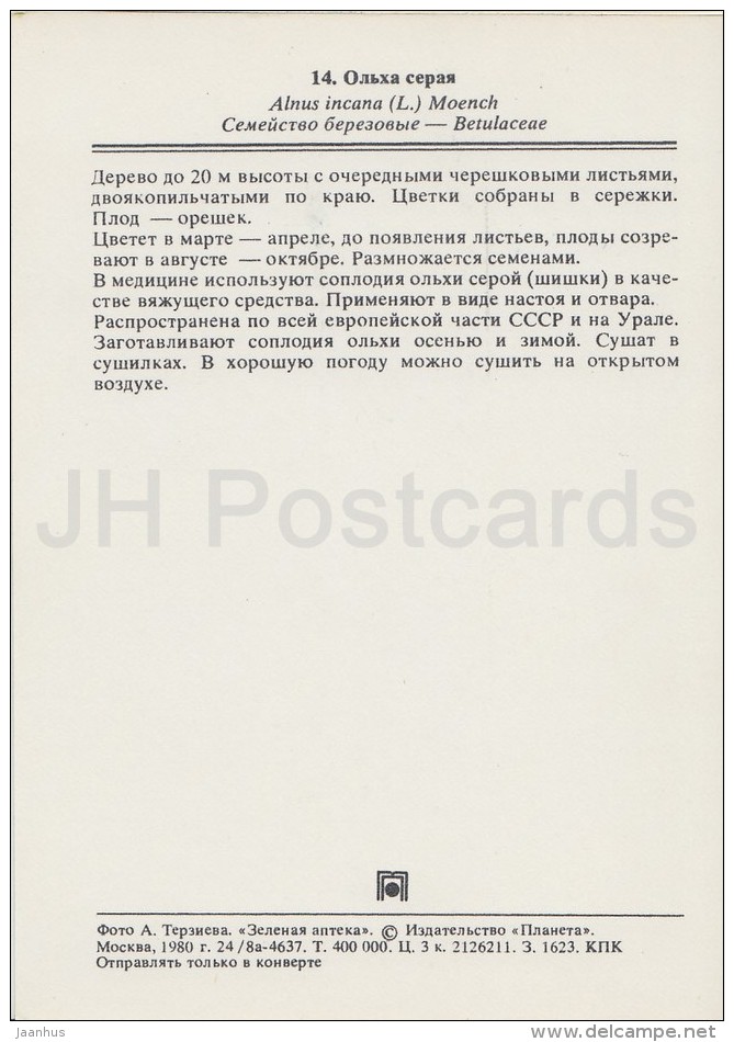 Grey Alder - Alnus Incana - Medicinal Plants - Herbs - 1980 - Russia USSR - Unused - Plantes Médicinales