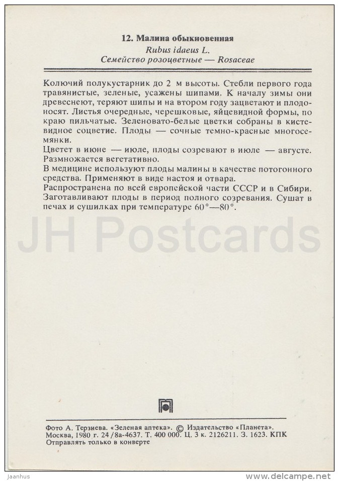 Red Raspberry - Rubus Idaeus - Medicinal Plants - Herbs - 1980 - Russia USSR - Unused - Plantes Médicinales