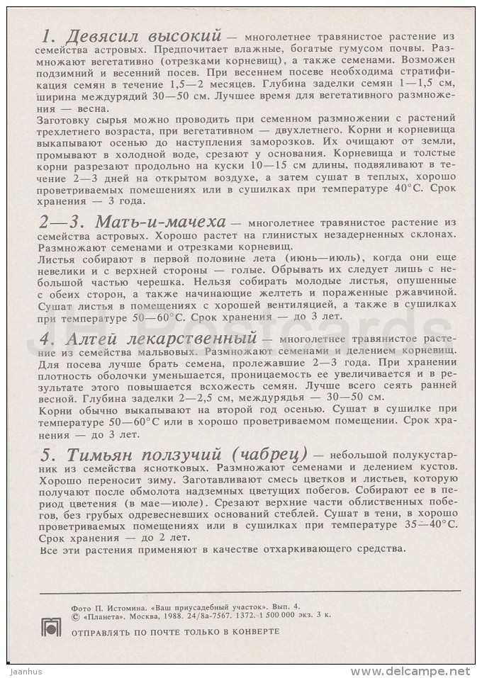 Aloe Vera - Marigold - Milfoil - Chamomile - Medicinal Plants - Herbs - 1988 - Russia USSR - Unused - Plantes Médicinales