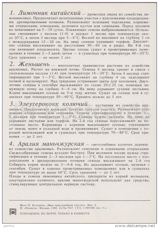 Five-flavor Berry - Ginseng - Siberian Ginseng - Medicinal Plants - Herbs - 1988 - Russia USSR - Unused - Geneeskrachtige Planten