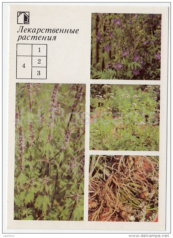 Jacob's Ladder - Valerian - Common Motherwort - Medicinal Plants - Herbs - 1988 - Russia USSR - Unused - Plantes Médicinales