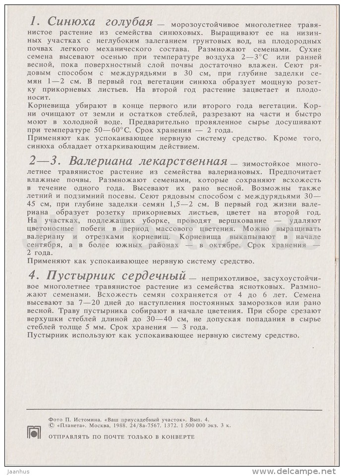 Jacob's Ladder - Valerian - Common Motherwort - Medicinal Plants - Herbs - 1988 - Russia USSR - Unused - Plantes Médicinales