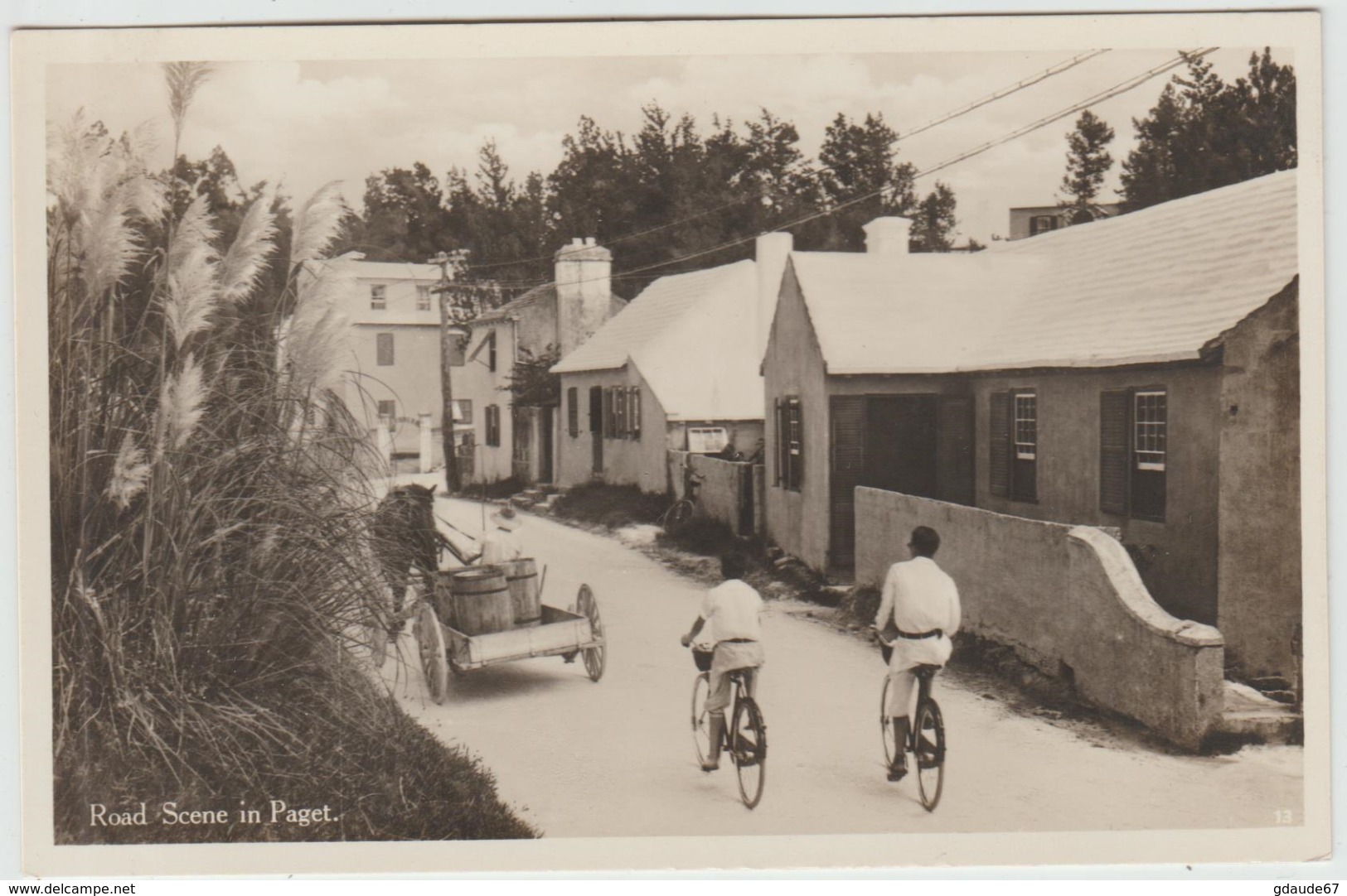 ROAD SCENE IN PAGET (ANTILLES / BERMUDES) - Bermudes