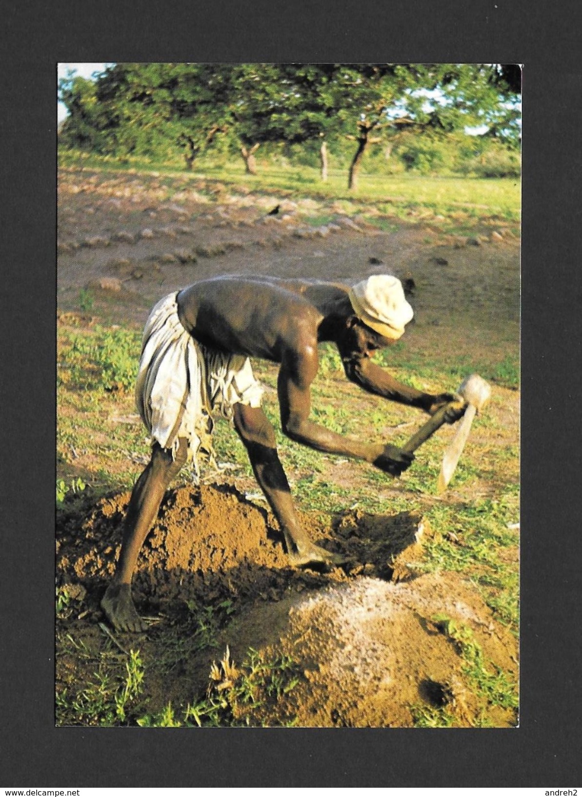 MALI - FOLONA - AFRIQUE - SÉNOUFO AU TRAVAIL - PHOTO OTMAR - Mali