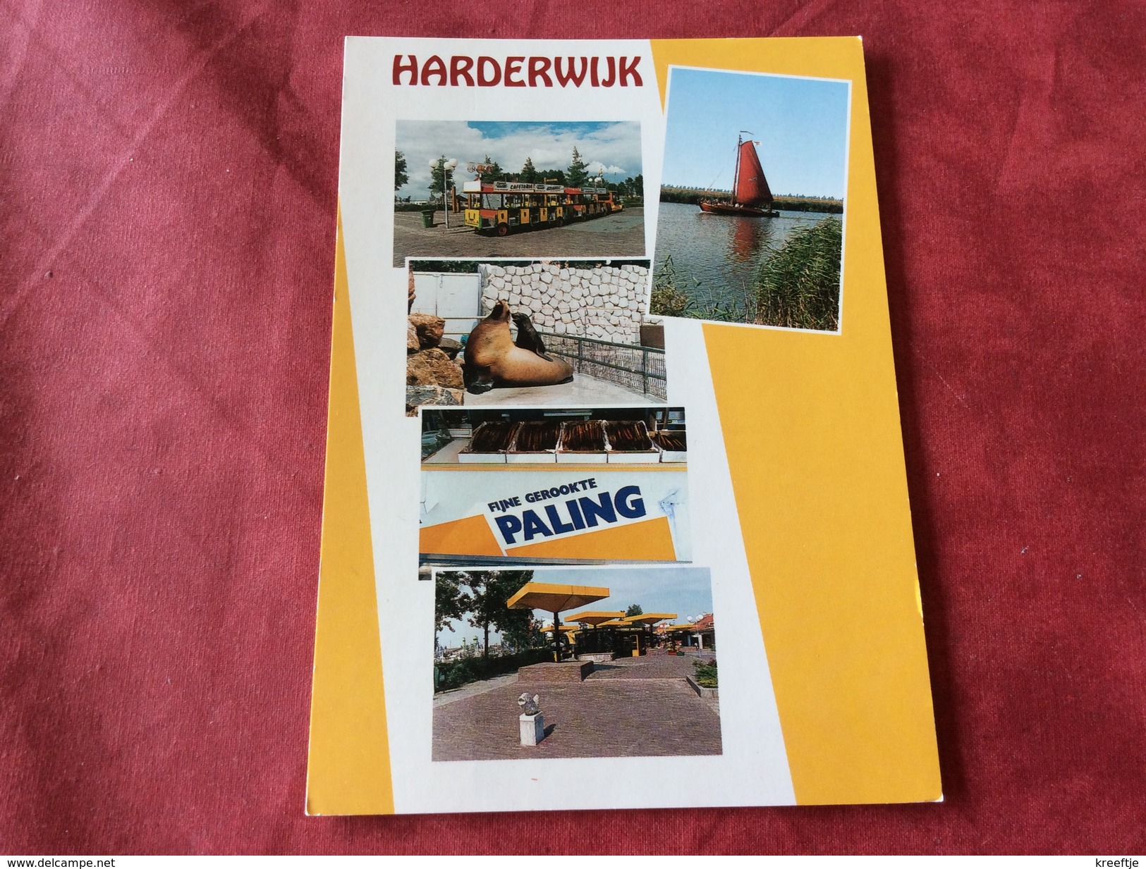 Nederland Harderwijk. 1992 Zeeleeuw - Harderwijk