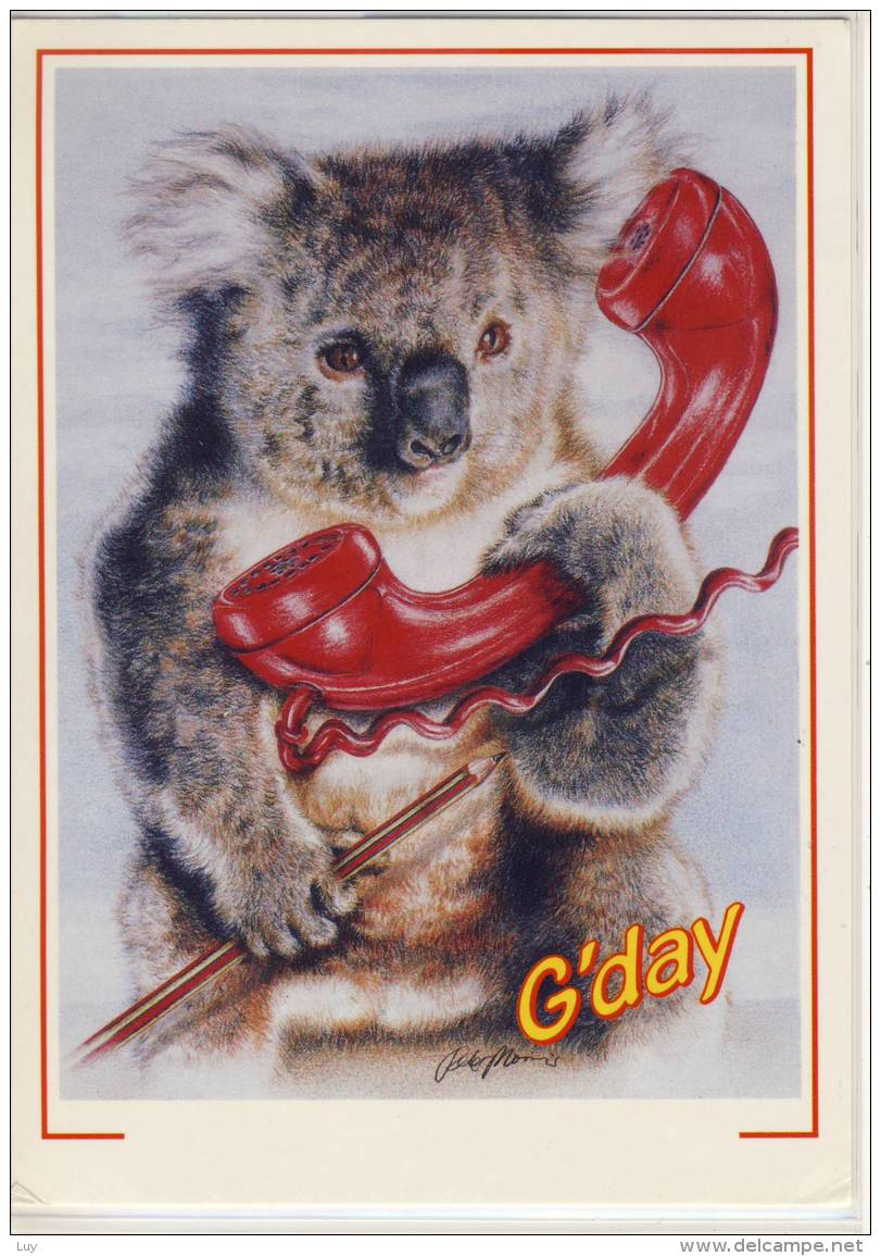 KOALA BEAR Is Calling; G'Day From AUSTRALIA, Telephon, Phone - Autres & Non Classés