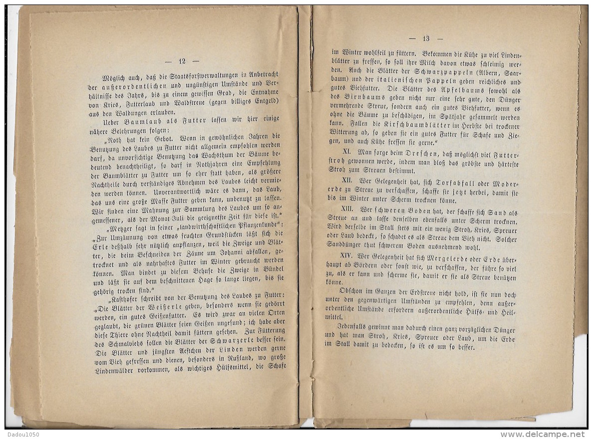 SUISSE Livret 1870 ,Canton De Berne - Autres & Non Classés