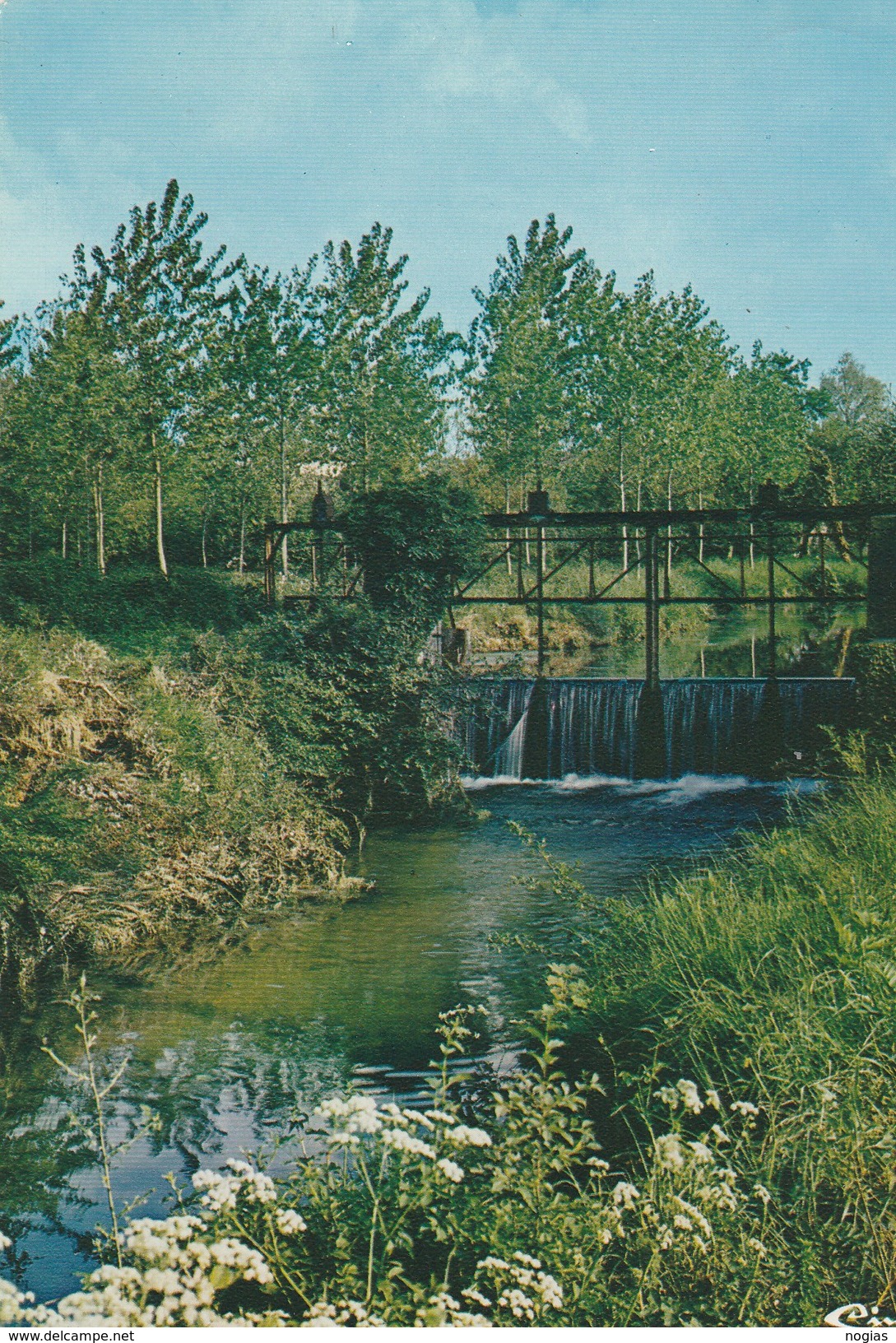 CHAOURCE -  LE DEVERSOIR - BELLE CARTE PHOTO - COULEUR - 2 SCANNS - TOP !!! - Chaource