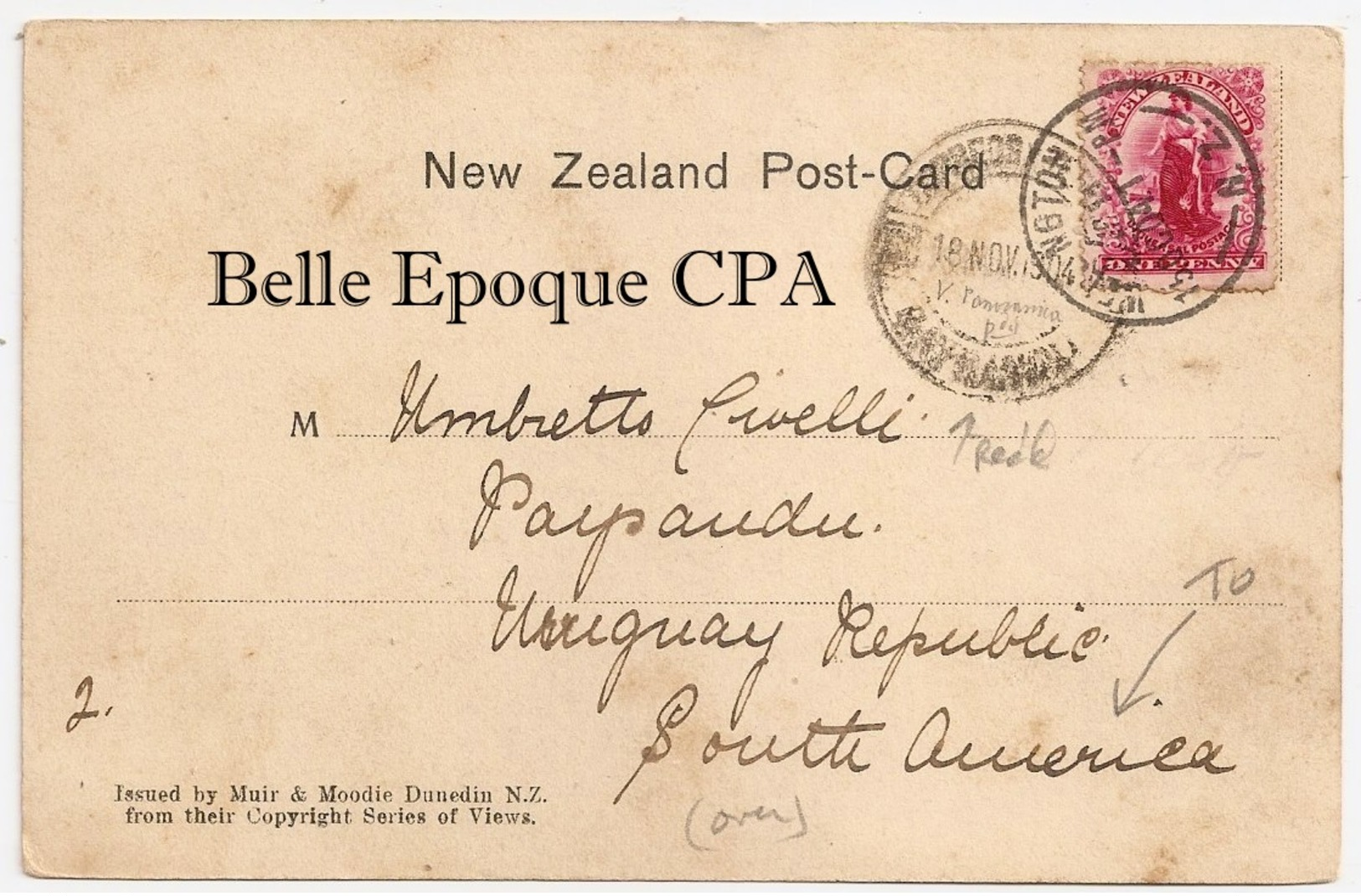 New Zealand - WELLINGTON ++++ Muir & Moodie, Dunedin, #6034 +++ To Paysandú, URUGUAY, 1904 - Nouvelle-Zélande