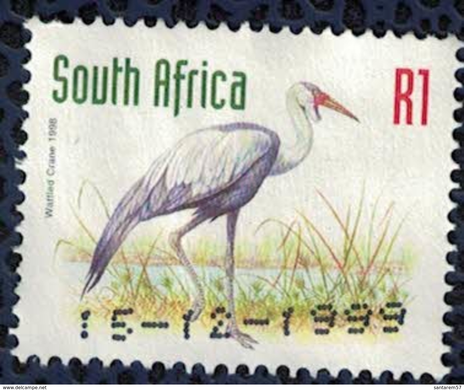 Afrique Du Sud Oblitéré Daté Used Oiseau Grus Carunculatus Grue Caronculée - Used Stamps