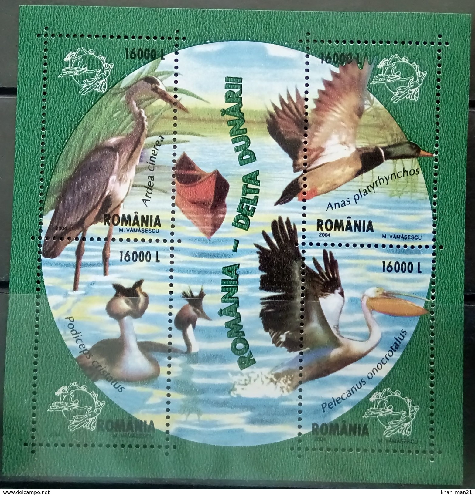 Romania, 2004, Birds, MNH - Palmípedos Marinos