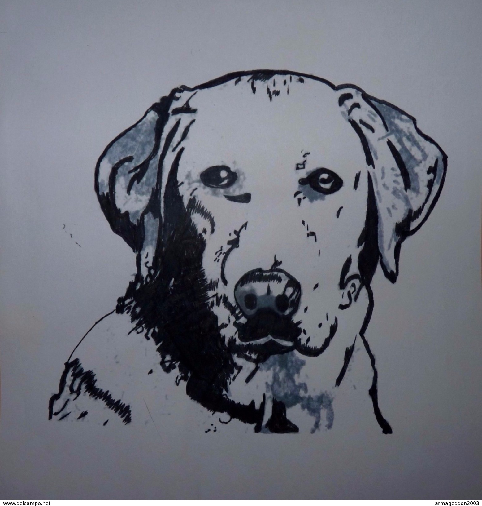 VRAI DESSIN ORIGINAL ENCRE DE CHINE NON SIGNÉE NI DATÉE TÈTE DE CHIEN LABRADOR - Dessins