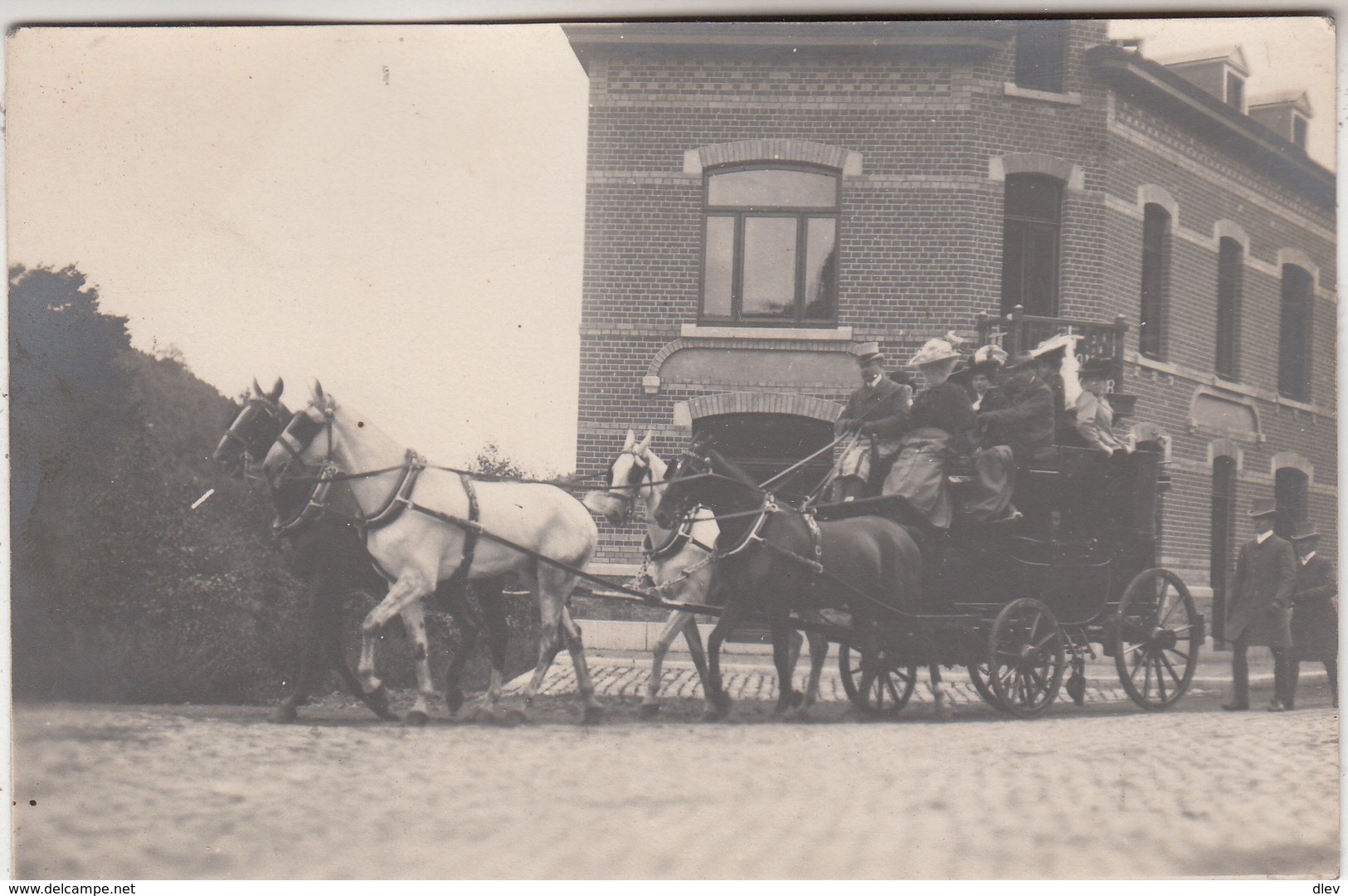 Attelage De Chevaux - Animée - Bâtiment - à Situer - Paardenspan - Te Situeren - Carte-photo - Autres & Non Classés