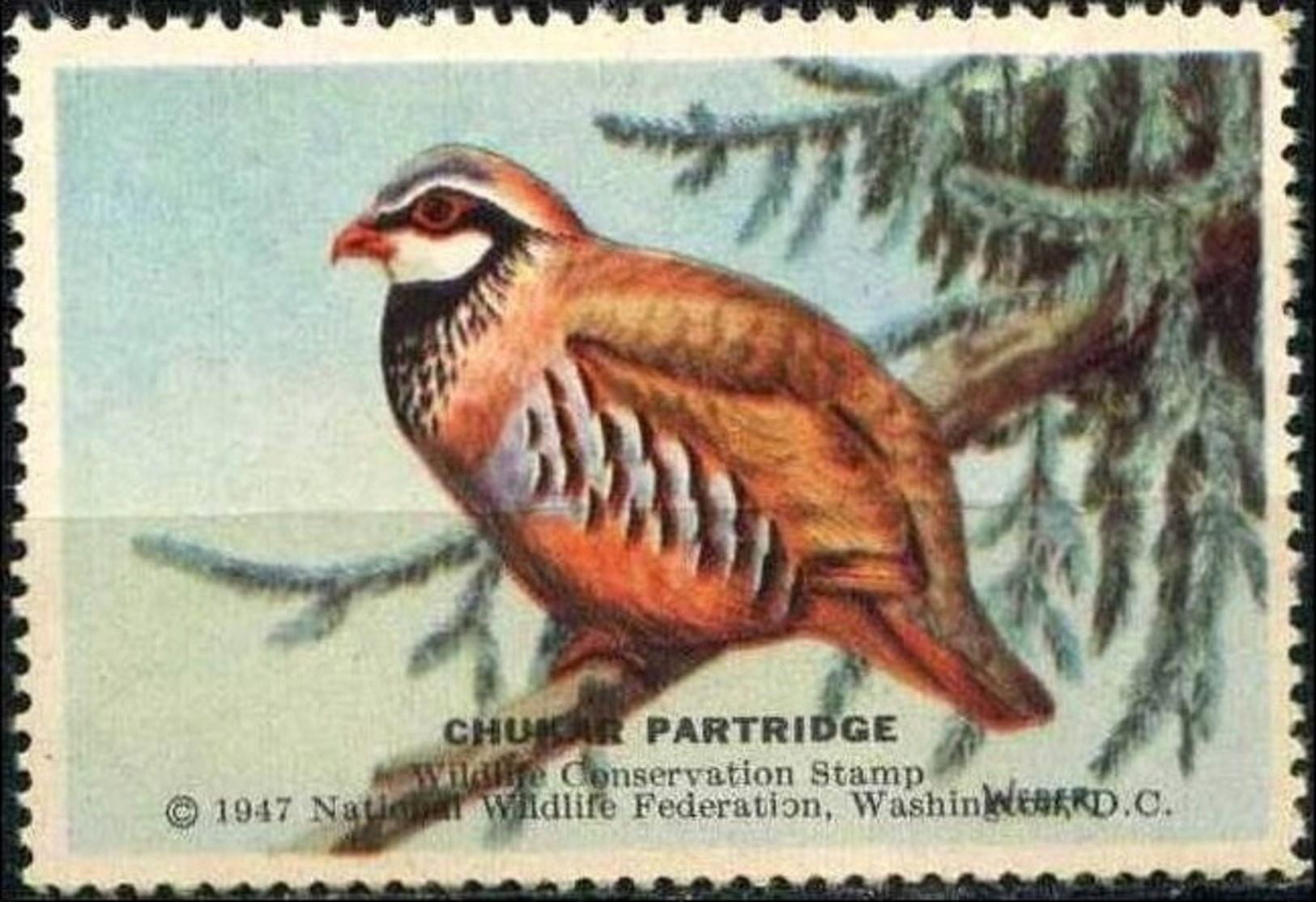 USA 1947. Chukar Partridge, Perdrix. Timbre / Vignette (3,5 X 5,5 Cm), National Wildlife Fed. - Rebhühner & Wachteln