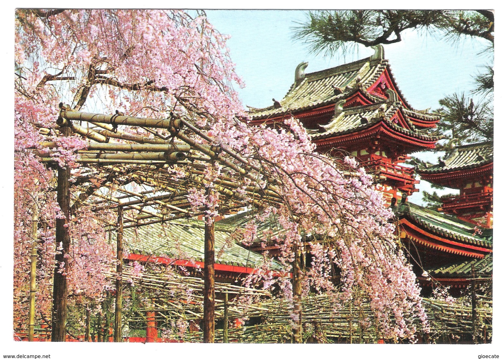 THE CHERRY BLOSSOM - THE HEIAN SHRINE - HONG KONG - VIAGGIATA 1968 - (360) - China (Hong Kong)