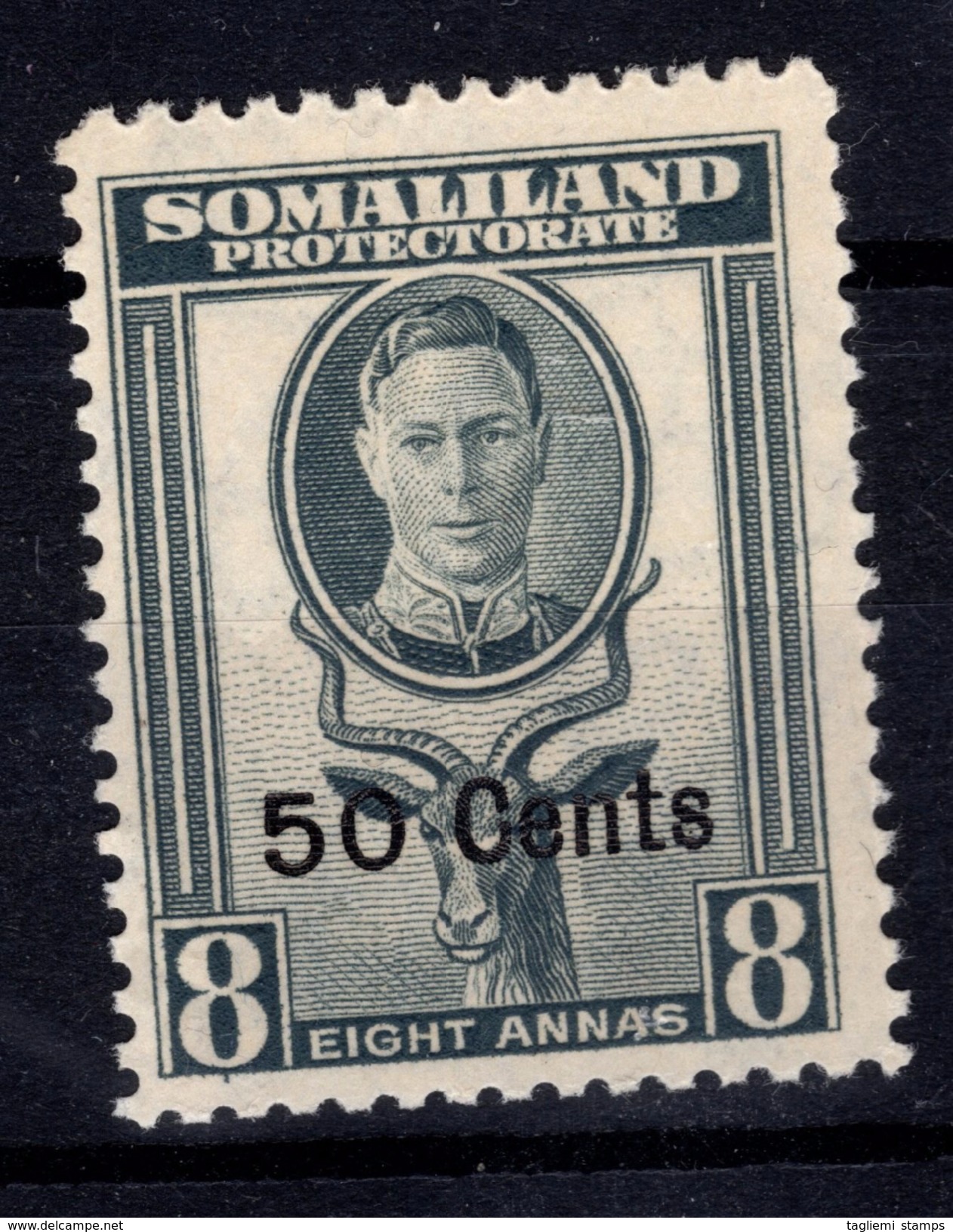 Somaliland, 1951, SG 130, MNH - Somaliland (Protectoraat ...-1959)