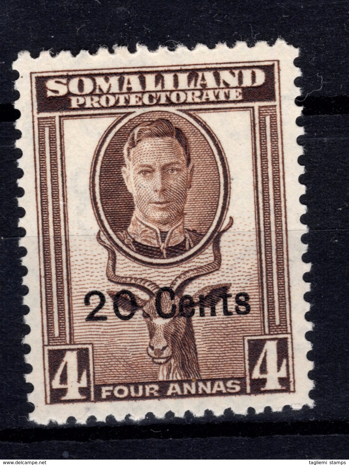 Somaliland, 1951, SG 128, MNH - Somaliland (Protectoraat ...-1959)
