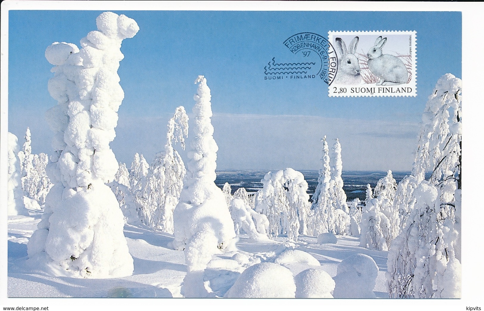 Philatelic Exhibition Postcard Mountain Hare Lepus Timidus - 6-9 November 1997 Frimærker I Forum - Maximumkarten (MC)