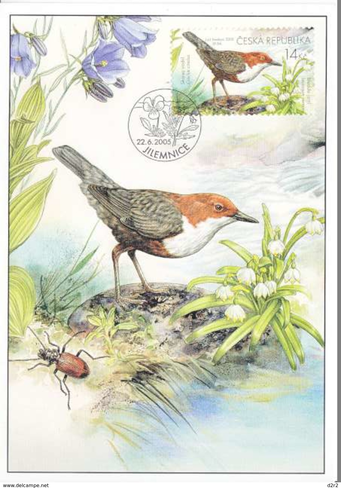 CARTE MAXIMUM - OISEAUX - N/C - Lettres & Documents