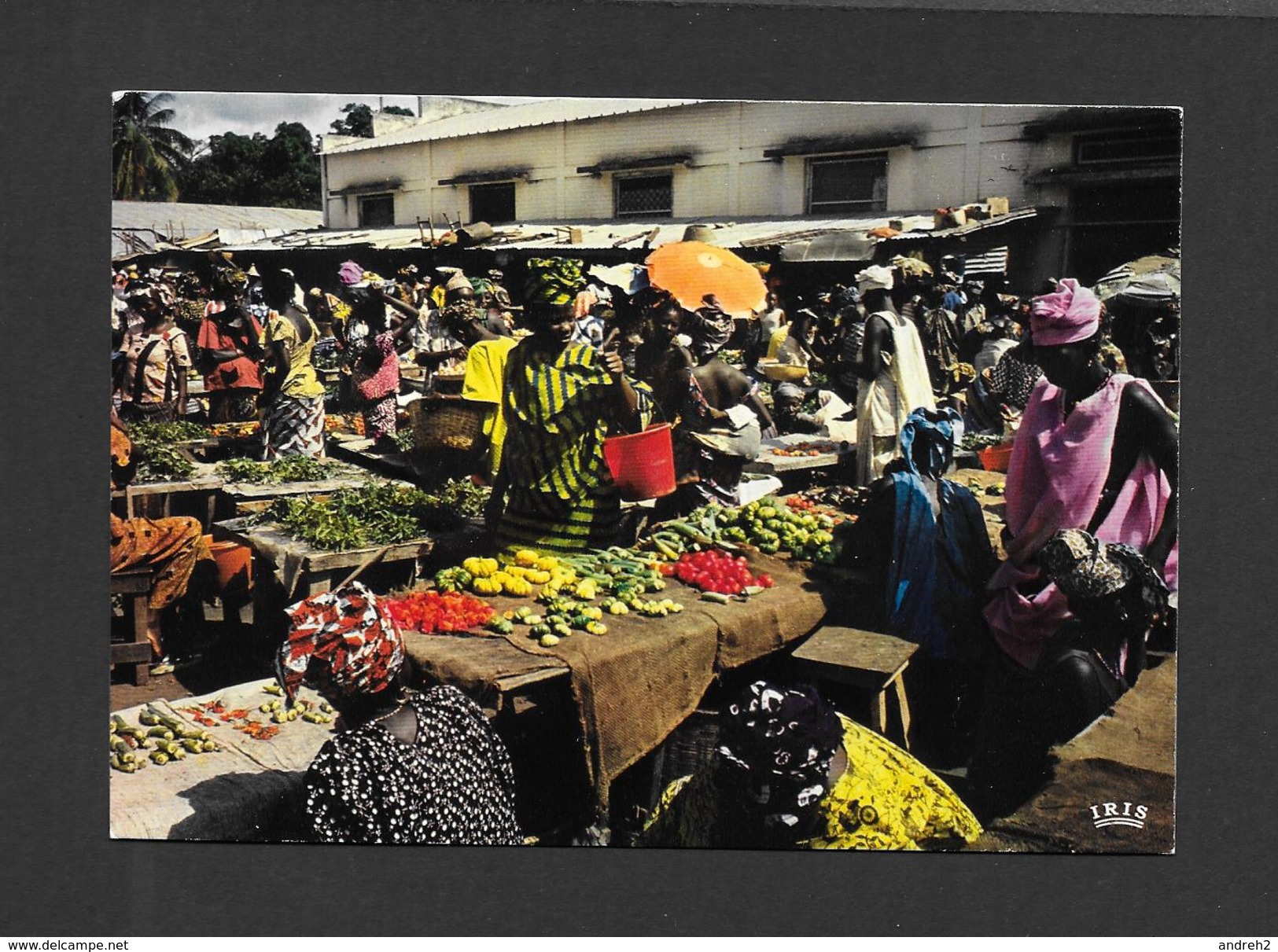 SÉNÉGAL - AFRIQUE - SCÈNE DE MARCHÉ - CLICHÉ P.CHARETON - PAR IRIS - Sénégal