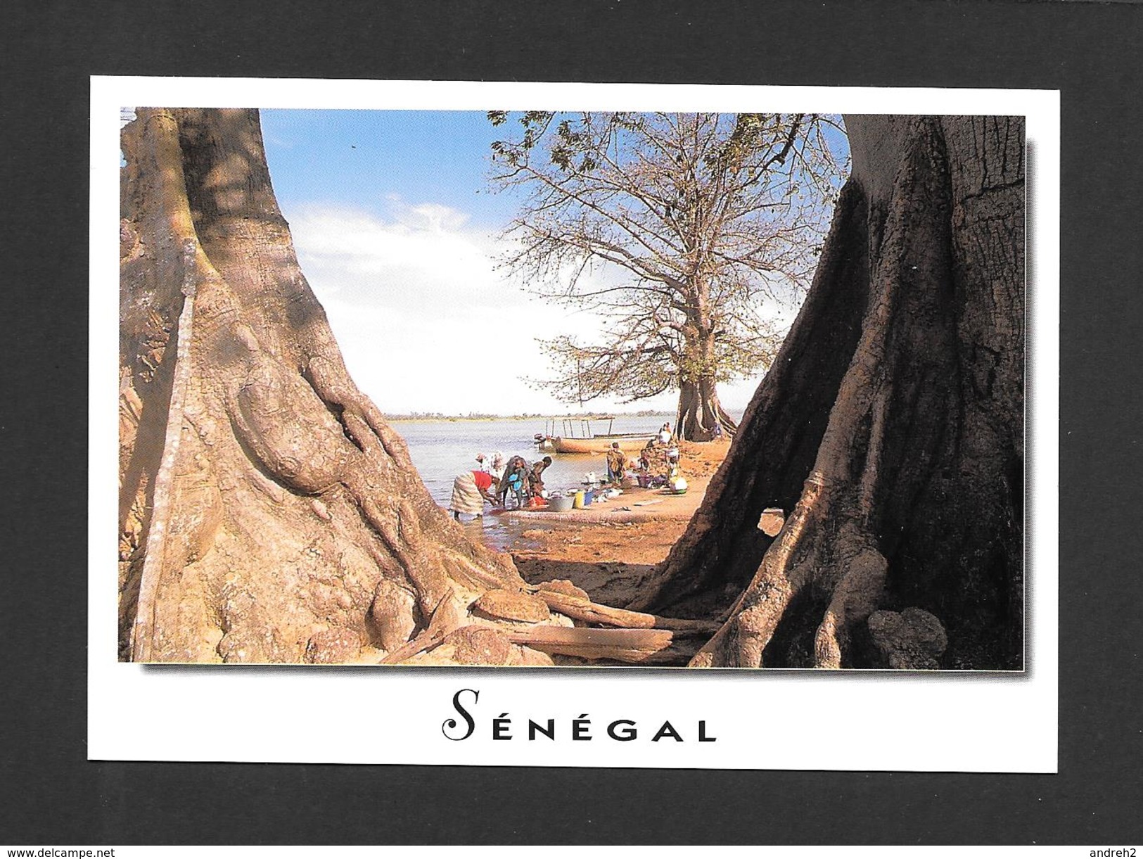 SÉNÉGAL - AFRIQUE - CHARMES ET COULEURS DU SÉNÉGAL AU BORD DU FLEUVE - PHOTO AM .BREGER - Senegal