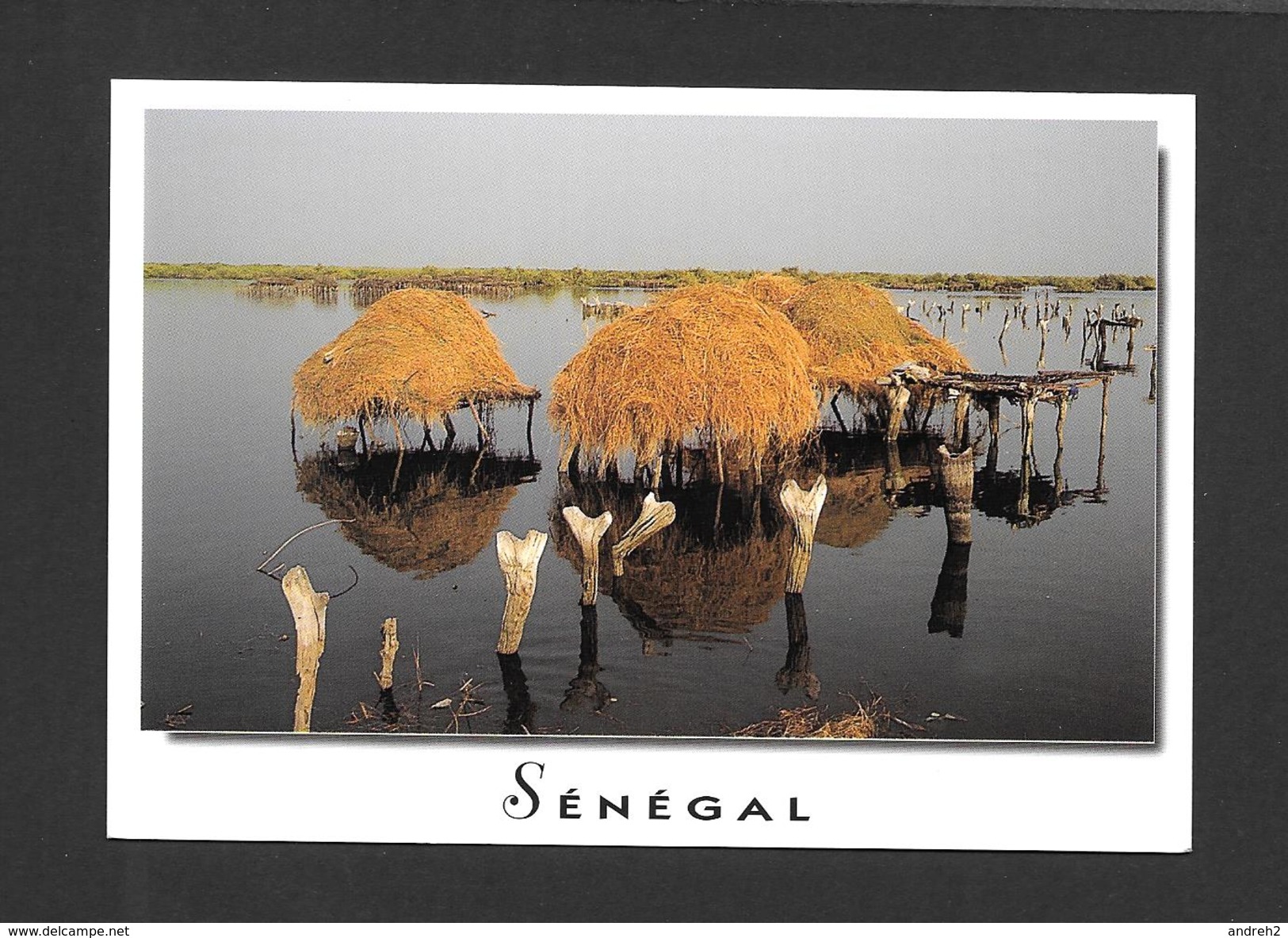 SÉNÉGAL - AFRIQUE - CHARMES ET COULEURS DU SÉNÉGAL FADIOUTH - PHOTO AM .BREGER - Senegal
