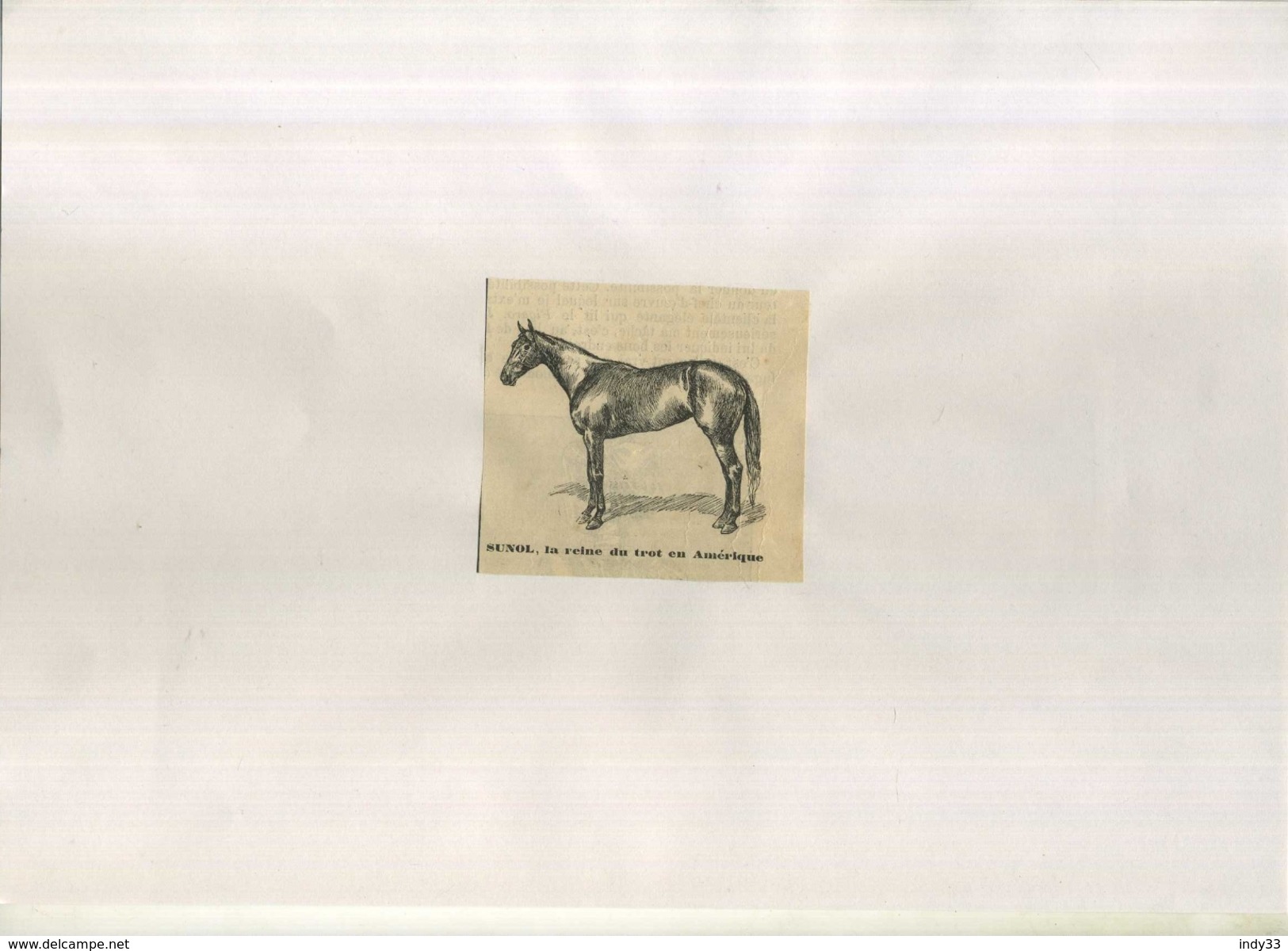 SUNOL . LA REINE DU TROT EN AMERIQUE . REPRO FIN XIXeS. DECOUPEE ET COLLEE SUR PAPIER . - Equitation