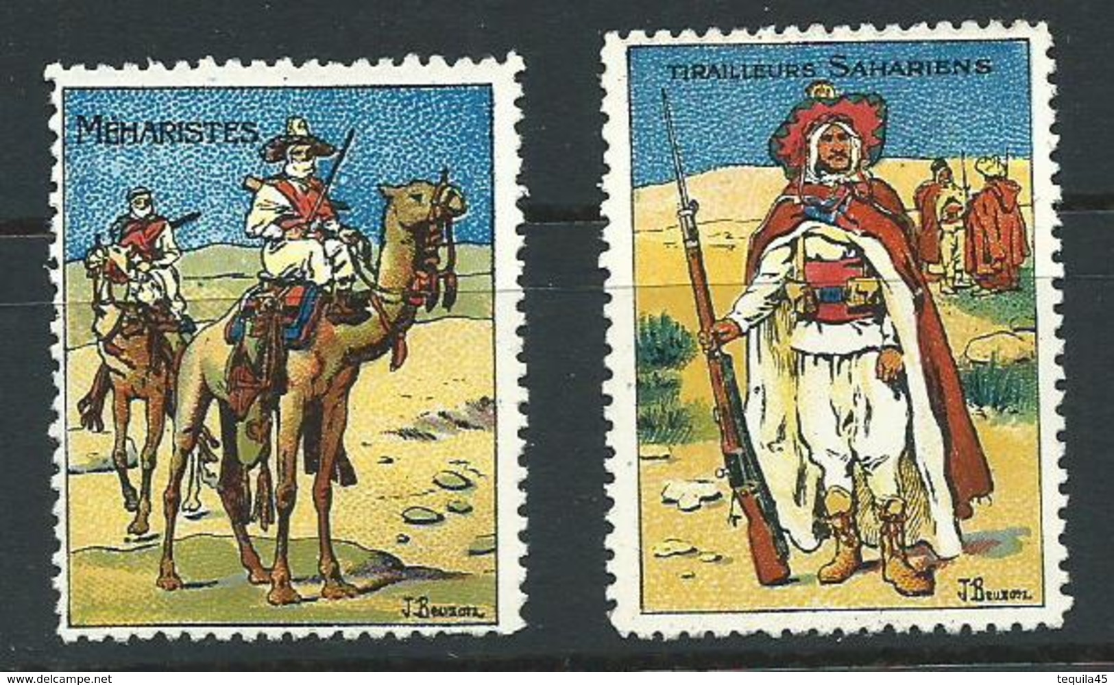 FRANCE VIGNETTE DELANDRE Rare: Méharistes Et Tirailleurs Sahariens WWI WW1 Guerre Cinderella 1914 1918 Poster Stamp - Militärmarken