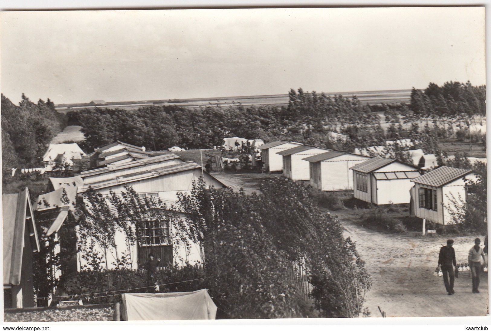 Renesse:  HUISJES & TENTEN, CAMPINGGASTEN - Camping De Wijde Blick, Hogezoom 112 -  (Zeeland/Nederland) - Renesse