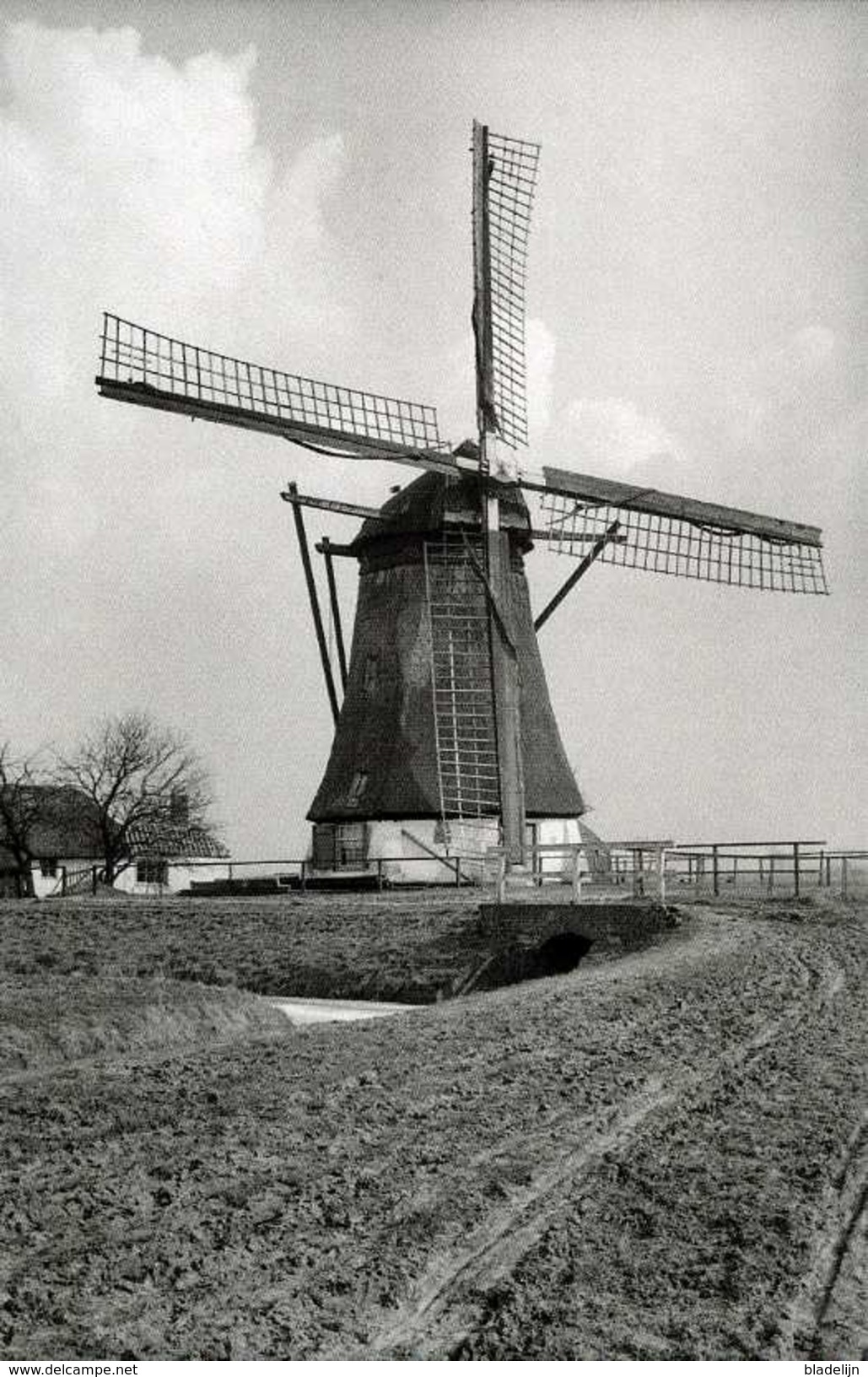 NIEUWAAL Bij Zaltbommel (Gld.) - Molen/moulin - De Verdwenen Nieuwaalse Poldermolen In 1930. TOP !!! - Zaltbommel